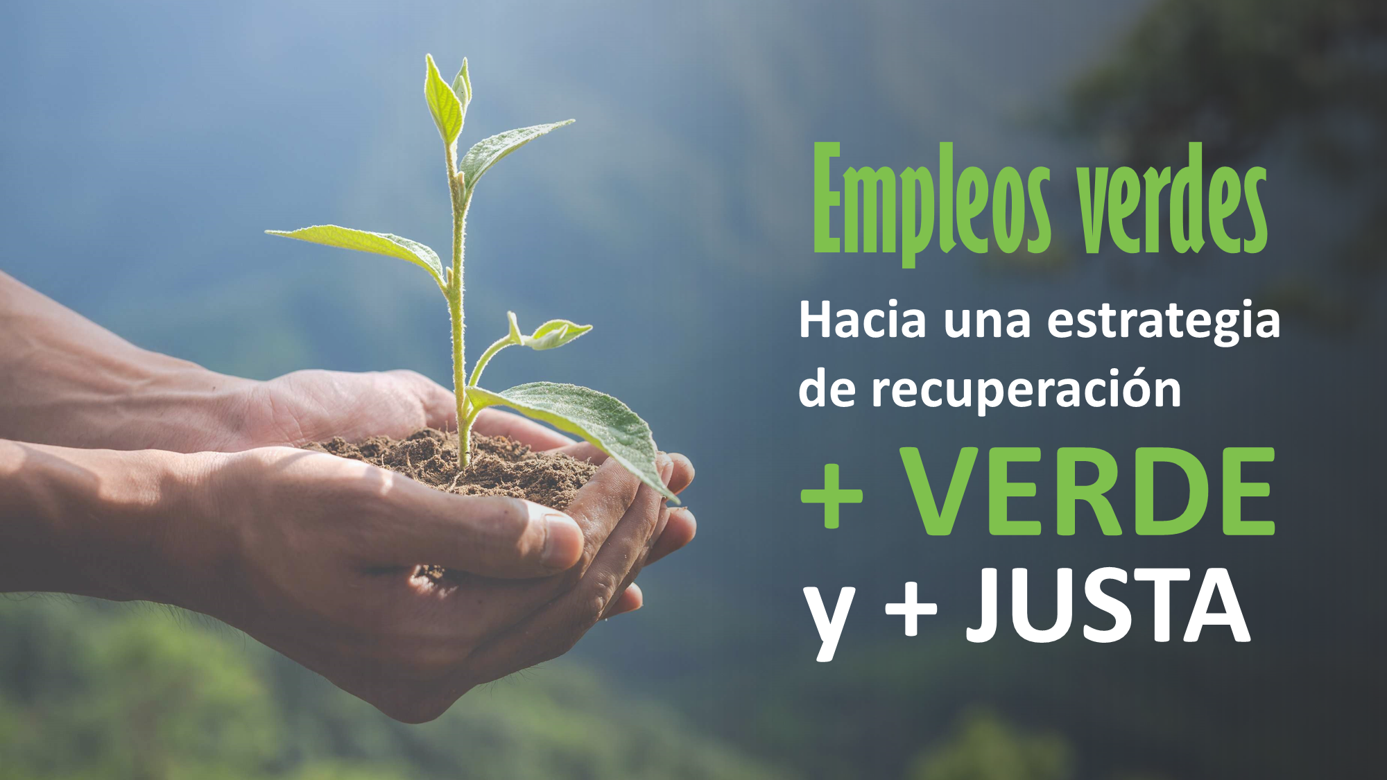  Hacia una estrategia de recuperación del empleo más verde y más justa en México